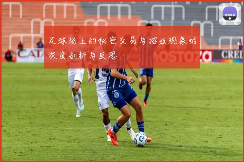 足球场上的秘密交易与招妓现象的深度剖析与反思