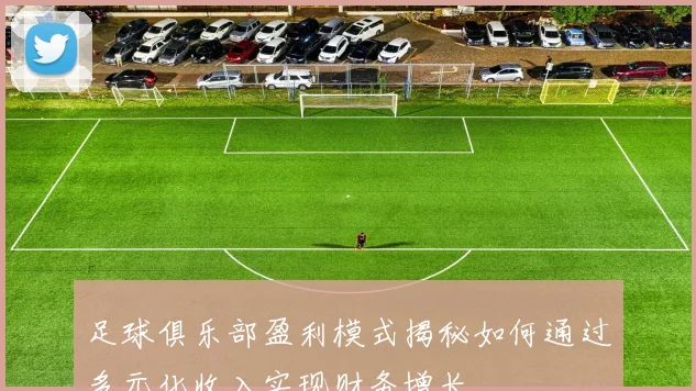 足球俱乐部盈利模式揭秘如何通过多元化收入实现财务增长