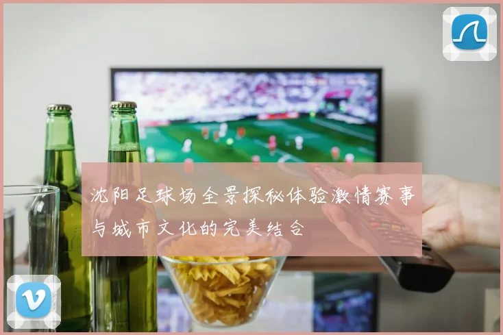 沈阳足球场全景探秘体验激情赛事与城市文化的完美结合