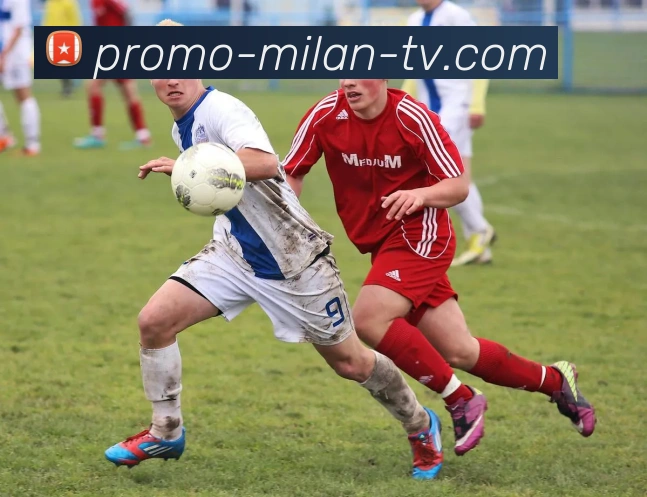 Milan Sports平台生态图